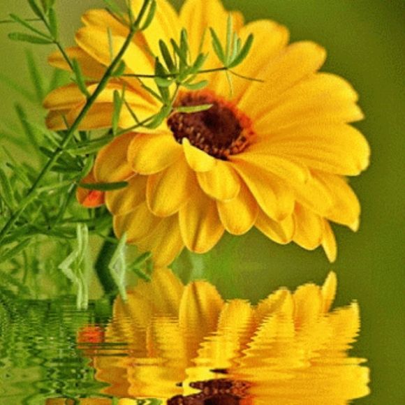 Meet your Posher, Laurie - Picture 5 of 11